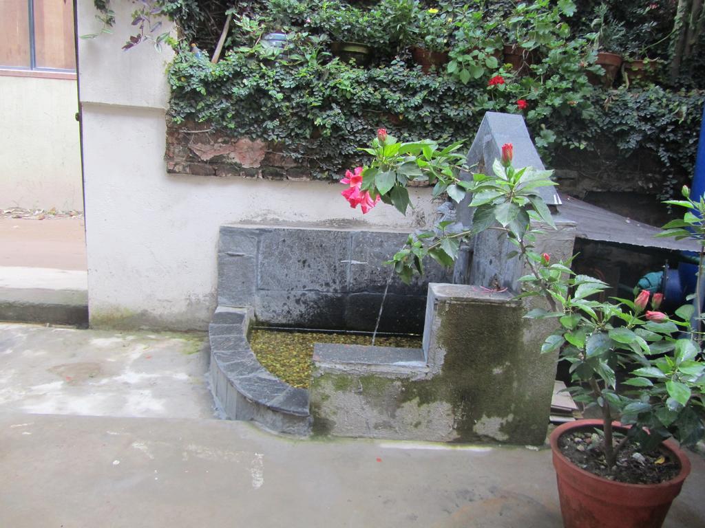Hotel Peace N Park Katmandu Eksteriør bilde